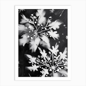 Delicate, Snowflakes, Black & White 4 Art Print