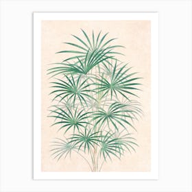 Vintage Tropical Palm I Art Print