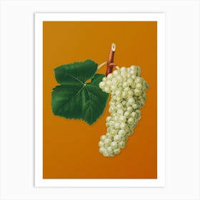 Vintage White Grape Botanical on Sunset Orange n.0957 Art Print