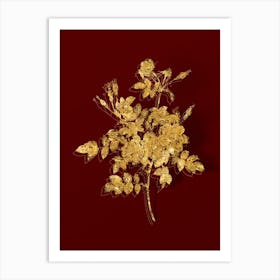 Vintage Pink Rosebush Bloom Botanical in Gold on Red n.0298 Art Print