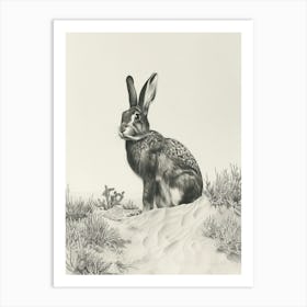 Belgian Hare Drawing 3 Art Print