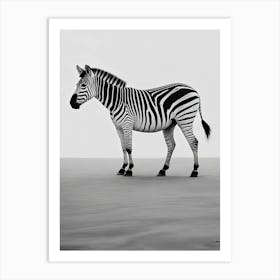 Black & White Zebra Art Print