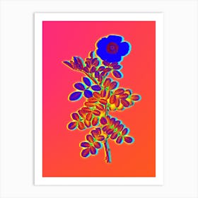 Neon Macartney Rose Botanical in Hot Pink and Electric Blue n.0544 Art Print