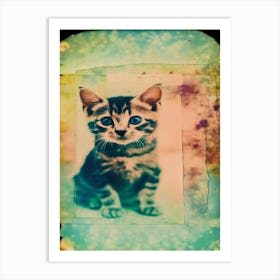 Kitten Polaroid Art Print