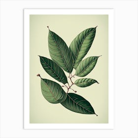 Wax Myrtle Leaf Vintage Botanical 1 Art Print