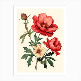 Red Poppy Flower Art Print