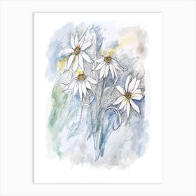 Daisies Art Print