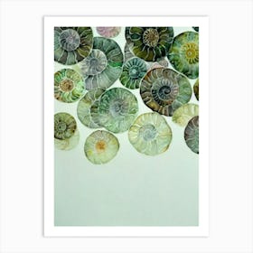 Ammonites Storybook Watercolour Art Print