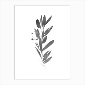 Minimalist Botanical Leaf Illustration 1 Art Print