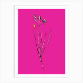 Aazue Vintage Amaryllis Montana Black And White Gold Leaf Floral Art On Hot Pink N Art Print