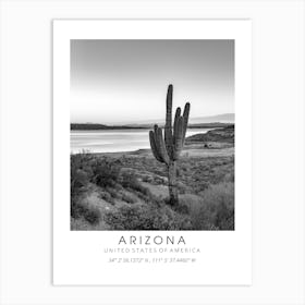 Arizona Cactus Art Print