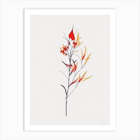 Firethorn Floral Minimal Line Drawing 4 Flower Art Print