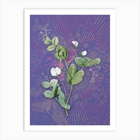 Vintage White Pea Flower Botanical Illustration on Veri Peri n.0828 Art Print