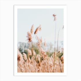 Whispy Pampas Scenery Art Print