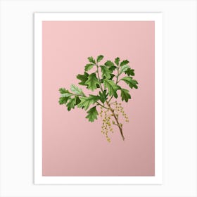 Vintage Bear Oak Botanical on Soft Pink n.0088 Art Print