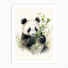 Panda Art Drawing Watercolour 1 Art Print