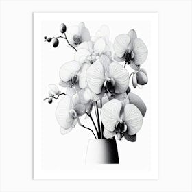 Detailed Orchids In A Vase B&w Art Print