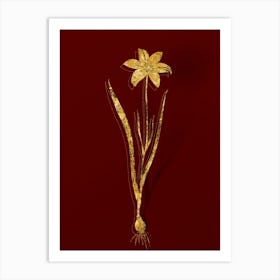 Vintage Lady Tulip Botanical in Gold on Red n.0442 Art Print
