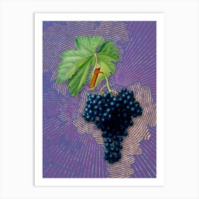 Vintage Fuella Grapes Botanical Illustration on Veri Peri n.0825 Art Print