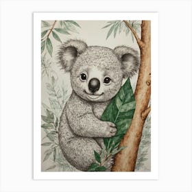 Koala 31 Art Print