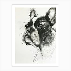 Boston Terrier Dog Charcoal Line 4 Art Print