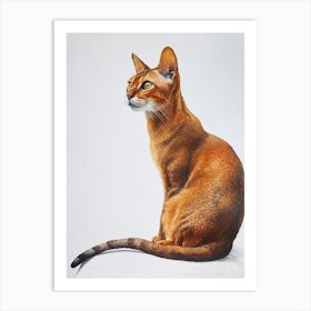 Abyssinian Cat Painting 1 Art Print