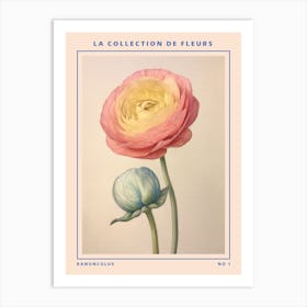 Ranunculus French Flower Botanical Poster Art Print