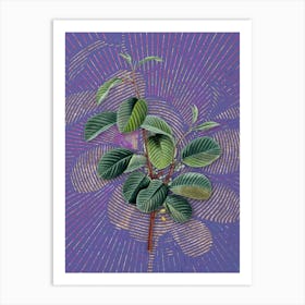 Vintage Alpine Buckthorn Plant Botanical Illustration on Veri Peri n.0058 Art Print