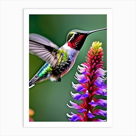 Male Ruby Throated Hummingbird-Reimagined 21 Art Print