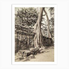 Tree Roots Of Angkor Cambodia Art Print