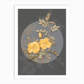 Vintage Botanical Yellow Sweetbriar Roses on Circle Gray on Gray n.0137 Art Print