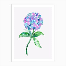 Hydrangea Flower Art Print