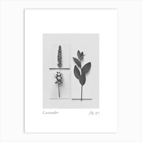 Lavender Botanical Collage 3 Art Print