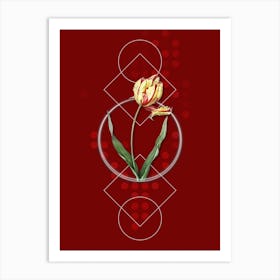 Vintage Didier's Tulip Botanical with Geometric Line Motif and Dot Pattern n.0064 Art Print