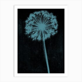 Black teal single allium Art Print