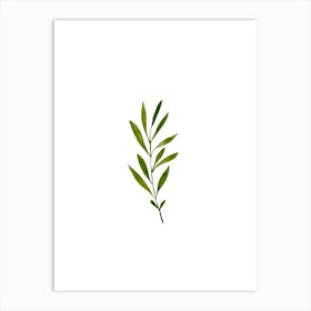 Green Watercolour Plant Art Print