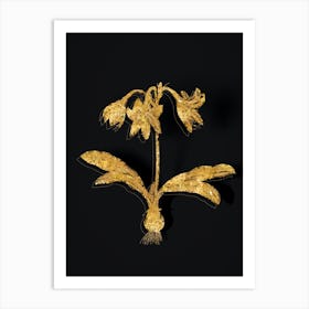 Vintage Netted Veined Amaryllis Botanical in Gold on Black n.0282 Art Print