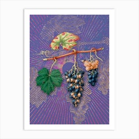 Vintage Summer Grape Botanical Illustration on Veri Peri n.0553 Art Print