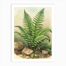 Vintage Illustration Ruffled Fern 2 Art Print