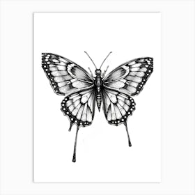 Butterfly Drawing 1 Art Print