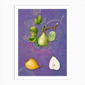 Vintage Pear Botanical Illustration on Veri Peri n.0511 Art Print