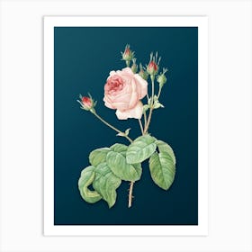 Vintage Cabbage Rose Botanical Art on Teal Blue n.0655 Art Print