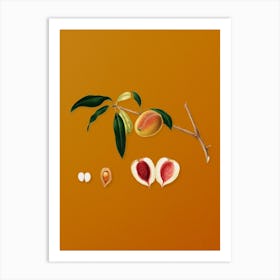 Vintage Peach Botanical on Sunset Orange n.0510 Art Print