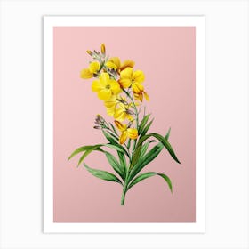 Vintage Cheiranthus Flower Botanical on Soft Pink n.0276 Art Print