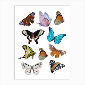 Butterflies Art Print