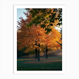 Autumn Trees 1 Art Print