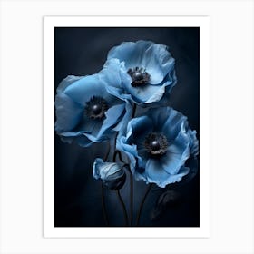 Poppies 7 Art Print