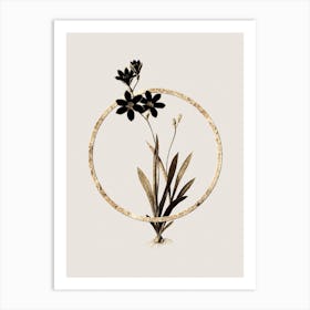 Gold Ring Ixia Grandiflora Glitter Botanical Illustration n.0005 Art Print