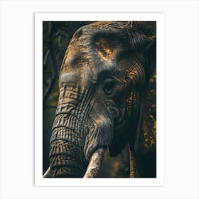 Elephants In The Wild Art Print