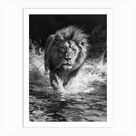 Barbary Lion Charcoal Drawing Crossing A River 4 Art Print